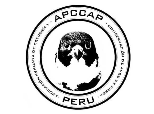 certificado-APCCAP Certificaciones